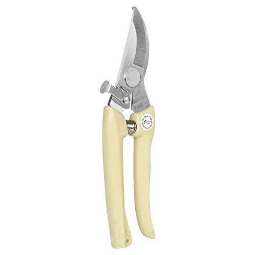Kraft Seeds Garden Shears Pruners Scissor (Assorted) at Discount Price in India